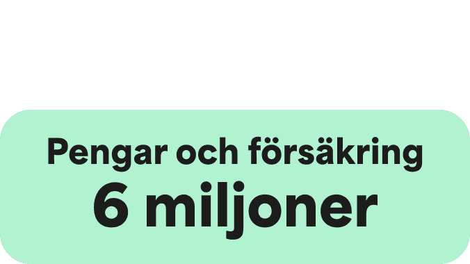 A Green icon showcasing a large Green circle and two smaller ones on the right hand side. The words Money and Insurance
6 Million are written in the centre.